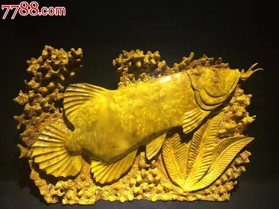 黄金龙鱼多少钱：黄金龙鱼多少钱一只 龙鱼百科 第3张