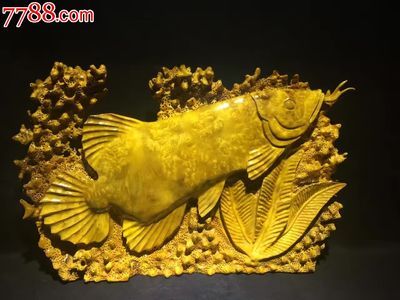 黄金龙鱼多少钱：黄金龙鱼多少钱一只 龙鱼百科 第2张