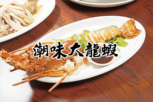 龙鱼只吃虾可以吗：龙鱼只吃虾可以吗， 龙鱼百科 第3张