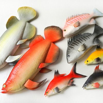 龙鱼最爱吃什么水果和蔬菜呢：适合龙鱼食用的动物性饲料 龙鱼百科 第1张