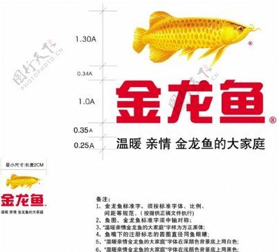 金龙鱼尺寸分类标准：金龙鱼的尺寸分类标准 龙鱼百科 第2张