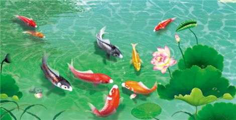 红色龙鱼画：对于红色龙鱼画的需求 龙鱼百科 第2张