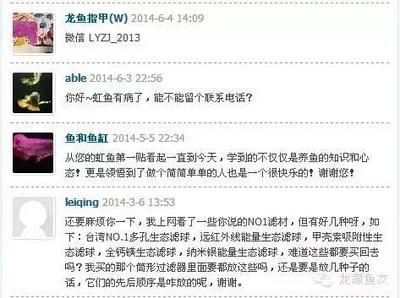 买龙鱼微信交易违法吗：微信交易龙鱼属于违法吗？