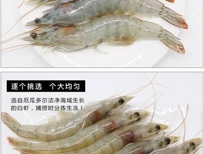 龙鱼喂青虾还是白虾：探讨龙鱼喂食青虾还是白虾，龙鱼喂青虾还是白虾的问题 龙鱼百科 第2张