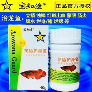 龙鱼治肠炎用什么药好使：龙鱼肠炎怎么治疗