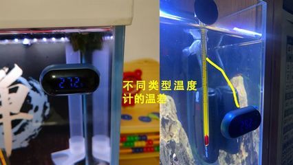 红龙鱼鱼缸温度多少合适：关于红龙鱼鱼缸温度管理的详细信息 龙鱼百科 第3张