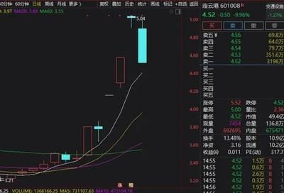 金龙鱼是不是龙头股：金龙鱼是不是龙头股？ 龙鱼百科 第2张