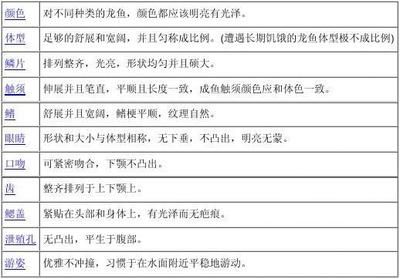 龙鱼比赛评分标准最新：龙鱼比赛的评分标准和规则 龙鱼百科 第2张