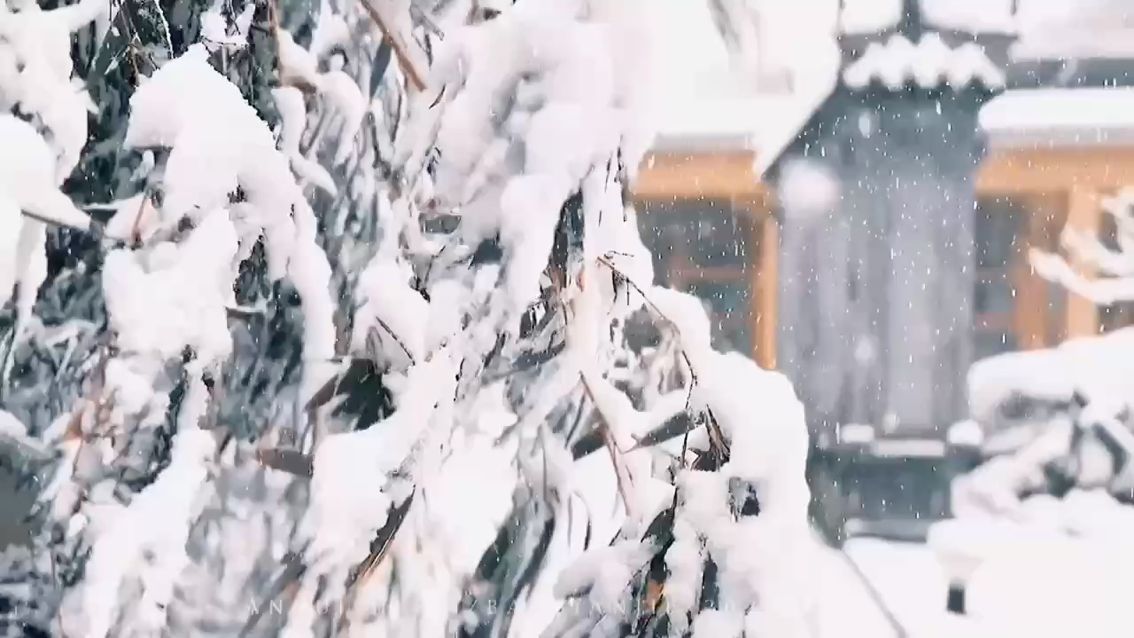 虽不知圣诞代表着什么，有什么重要！但还是在另一个空间、纬度遥祝您圣诞喜悦！虽不相见，您是我内心强大的支柱；您是我生命的一部分；但您是我亦师亦友的骄傲！ 

五方世界，求异存真；
七星之兆，预示苍穹；
九幽之约，颠倒黑白；
十一为术，以柔顺罡。：matthewscarlet评论：圣诞代表着什么，有什么重要