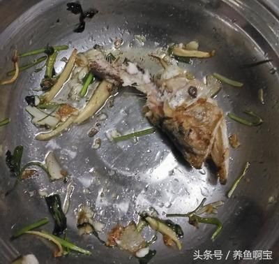 金龙鱼好吃吗能吃吗：金龙鱼好吃吗？ 龙鱼百科 第2张