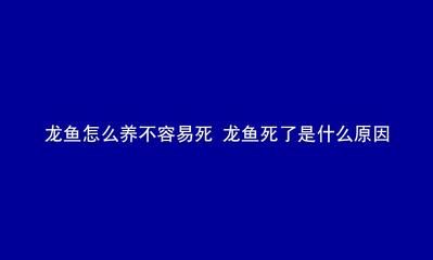 龙鱼能撑死吗为什么：龙鱼不会因为撑食而死亡，喂养过程中应注意适量和营养均衡