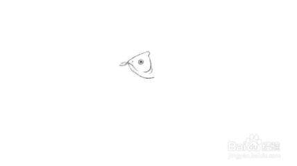 画龙鱼简笔画怎么画的好看又漂亮：画龙鱼简笔画怎么画好看又漂亮，画龙鱼简笔画的基本步骤 龙鱼百科 第2张
