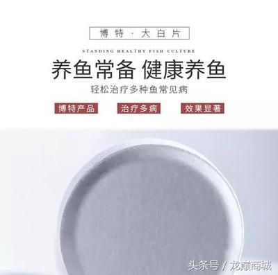 大白片能治疗龙鱼蒙眼吗怎么用：大白片能治疗龙鱼蒙眼吗