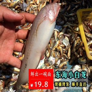 白龙鱼能吃吗：“白龙鱼”是否适宜食用，白龙鱼是否适宜食用的信息 龙鱼百科 第1张