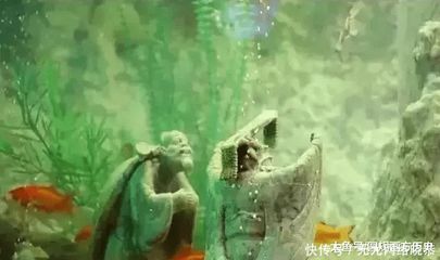东海龙宫鱼缸价格：东海龙宫文化探秘 龙鱼百科 第3张
