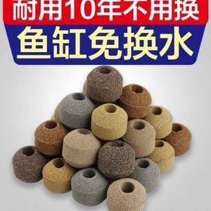 养龙鱼用什么过滤材料：养龙鱼时选择合适的过滤材料是非常重要的，因为直接影响到水质的健康 龙鱼百科 第2张