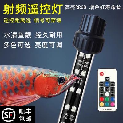 红龙鱼专用灯发色原理：红龙鱼专用灯发色原理主要涉及到生物物理学和光谱学的知识 龙鱼百科 第3张