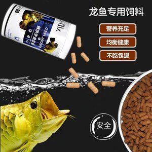 龙鱼不吃鱼粮怎么回事：龙鱼不吃食怎么办 龙鱼百科 第2张