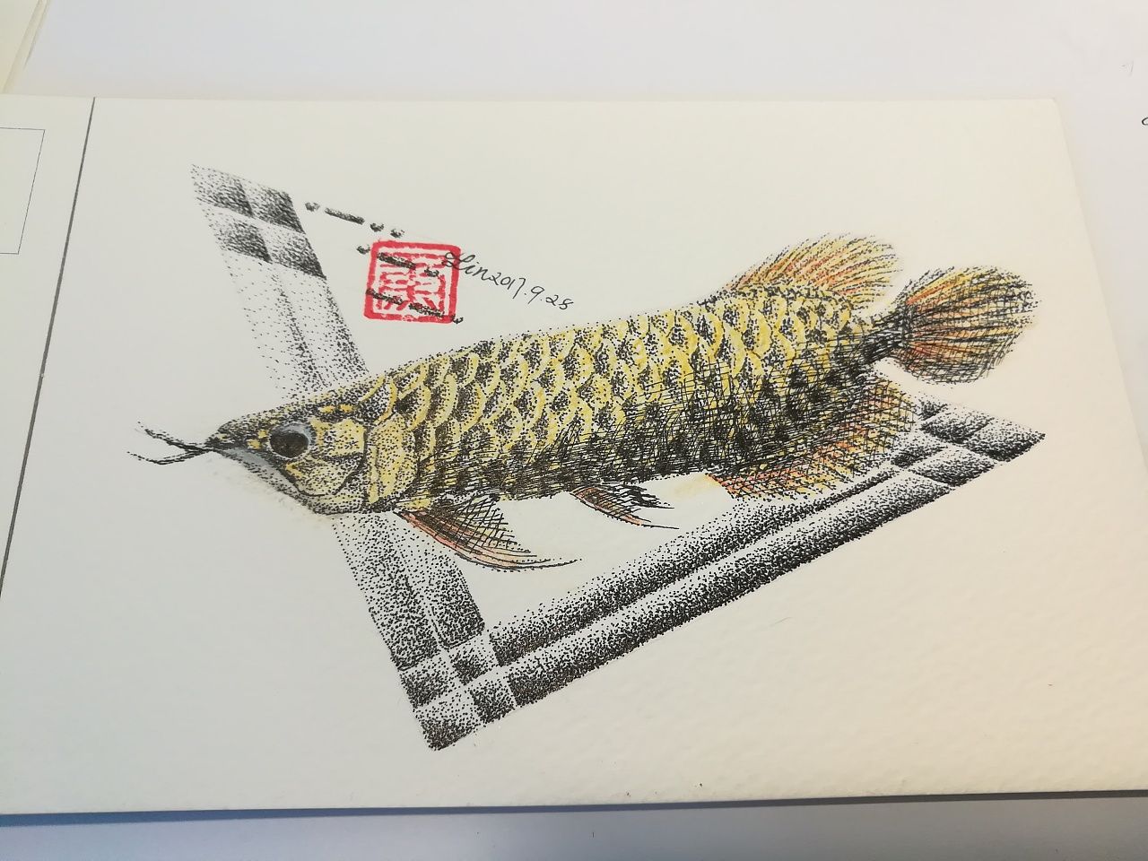 金龙鱼绘画素材高清：金龙鱼绘画素材高清的相关信息 龙鱼百科 第3张