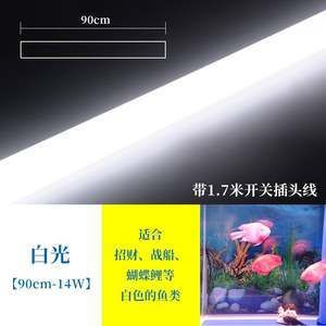 金龙鱼照明时间：关于金龙鱼照明时间的相关信息 龙鱼百科 第1张