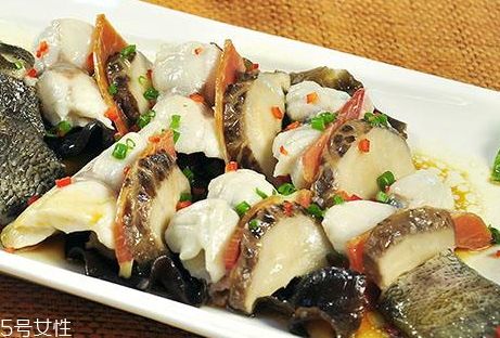 什么是龙趸鱼皮：龙趸鱼皮是一种源于大型石斑鱼的食材，尤其在粤菜中享有盛名 龙鱼百科
