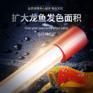 红龙鱼用黄灯4000k有用吗：红龙鱼用黄灯4000k对红龙鱼的发色有影响吗