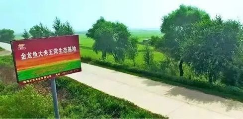 黑龙江金龙鱼项目招标公告：关于黑龙江金龙鱼项目招标公告 龙鱼百科 第3张