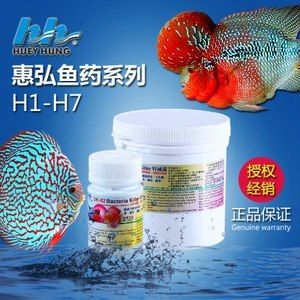 龙鱼起白点用什么药：治疗龙鱼白点病的药物 龙鱼百科 第3张