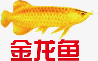 金龙鱼物流：益海嘉里金龙鱼物流