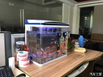 红龙鱼鱼缸温度怎么控制：红龙鱼鱼缸温度怎么控制红龙鱼鱼缸温度控制方法 龙鱼百科 第2张