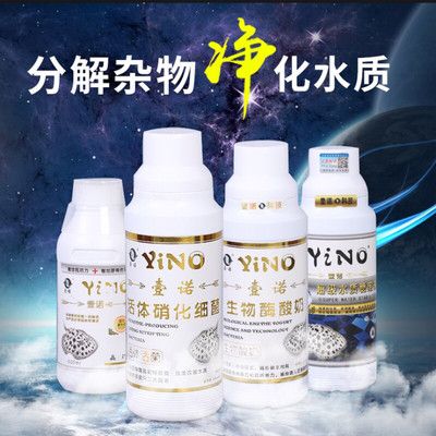 龙鱼益生菌用酸奶可以吗：龙鱼益生菌用酸奶可以吗龙鱼益生菌用酸奶可以吗 龙鱼百科 第3张