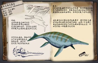西卡尼萨斯特鱼龙：西卡尼萨斯特鱼龙是已命名的最大海洋爬行动物 龙鱼百科 第1张