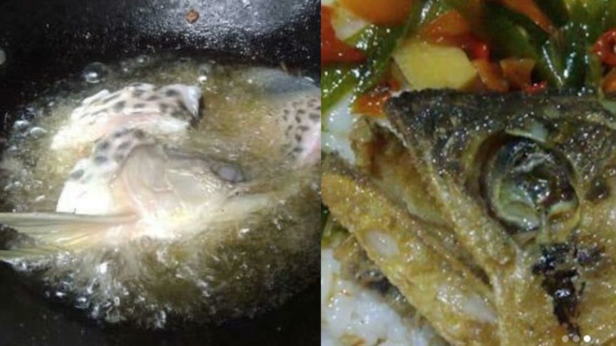 金龙鱼煮了：烹饪金龙鱼时需要注意以下几点，金龙鱼煮了需要注意