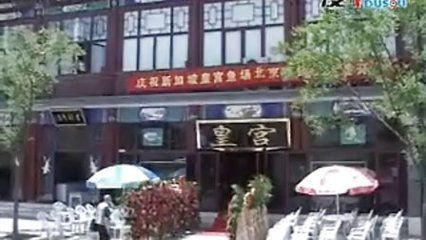 北京龙鱼手术医院怎么样知乎：北京龙鱼手术医院排名 龙鱼百科 第3张