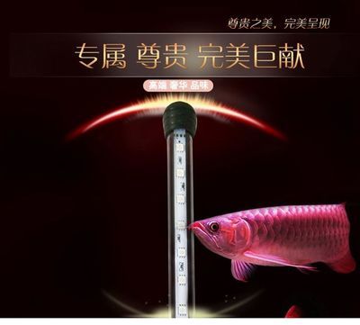 金龙鱼灯管怎么搭配的：金龙鱼灯管怎么搭配