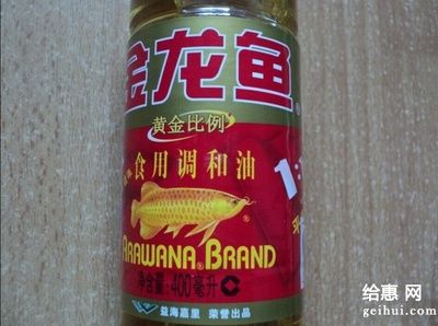 黄金龙鱼可以吃吗：黄金龙鱼可以吃吗？ 龙鱼百科 第2张