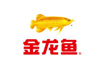 金龙鱼吃：金龙鱼的食性与饲养注意事项 龙鱼百科 第3张
