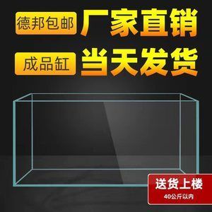 龙鱼多大缸可以养活：龙鱼养活的最佳尺寸 龙鱼百科 第2张