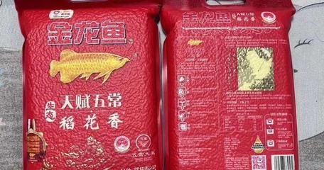 怎样认定金龙鱼的品质好坏：如何认定金龙鱼的品质好坏 龙鱼百科 第1张