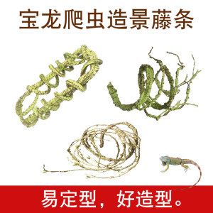 龙鱼鱼须弯了怎么办？：龙鱼鱼须弯了怎么办 龙鱼百科 第2张