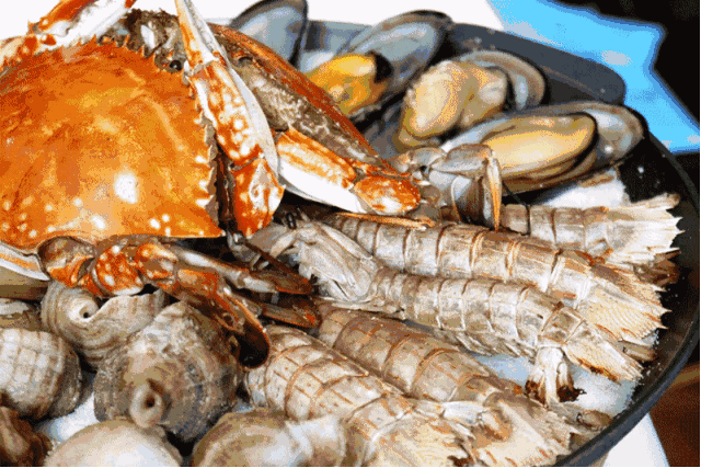 龙鱼可以吃皮皮虾吗：龙鱼可以吃皮皮虾吗，需要注意什么 龙鱼百科 第3张
