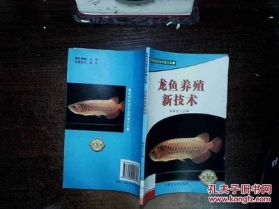 龙鱼的养殖技术与方法图解：龙鱼的养殖技术与方法 龙鱼百科 第2张