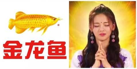 金龙鱼广告台词：温暖亲情，金龙鱼的大家庭 龙鱼百科 第1张