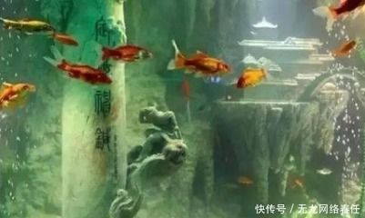 东海龙宫鱼缸：东海龙宫鱼缸是一件集美观、文化和技术于一体的独特艺术品