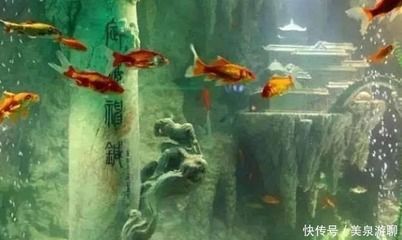 东海龙宫鱼缸：东海龙宫鱼缸是一件集美观、文化和技术于一体的独特艺术品 龙鱼百科 第3张