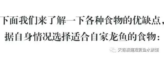 龙鱼能喂火腿肠吗怎么喂：龙鱼不适合喂食火腿肠吗，龙鱼能喂火腿肠吗怎么喂 龙鱼百科 第3张