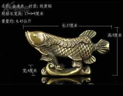 金龙鱼 尺寸：金龙鱼的尺寸会因具体的产品类型和鱼类品种而有所不同 龙鱼百科 第3张