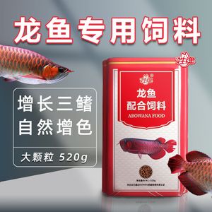 龙鱼鱼食品牌介绍文案范文怎么写：龙鱼鱼食品牌介绍文案范文 龙鱼百科 第3张