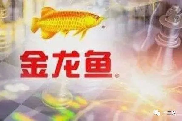 2024年金龙鱼目标价格是多少钱一条：2024年金龙鱼目标价格是多少钱一条金龙鱼的价格是多少钱一条 龙鱼百科 第2张