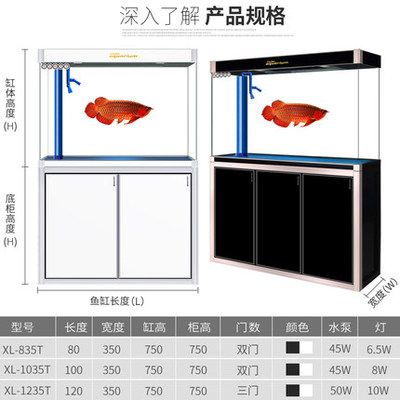 性价比高的龙鱼缸：如何选择性价比高的龙鱼缸